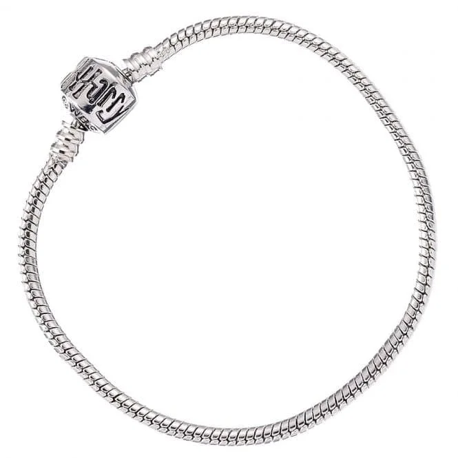 Thin wing bangles-Silver Charm Bracelet